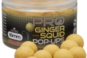 POP UP Pro Ginger Squid 50g 16mm